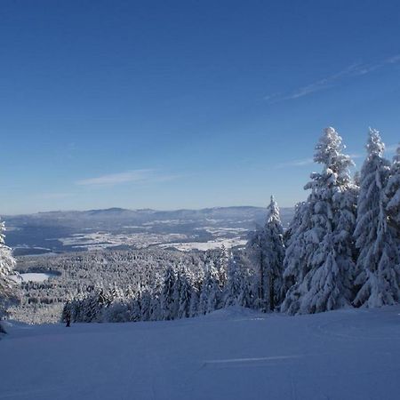 Gasthof Alte Post Bischofsmais Buitenkant foto