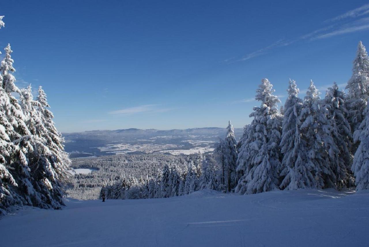 Gasthof Alte Post Bischofsmais Buitenkant foto